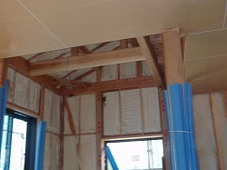 25-p1010357.jpg