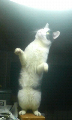 200903311741001.jpg