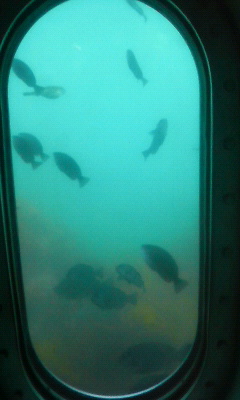 200905101226000.jpg