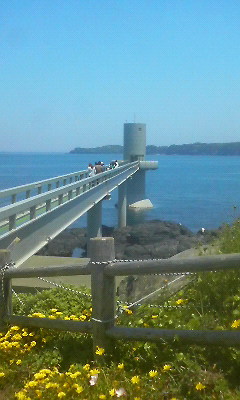 200905101234000.jpg