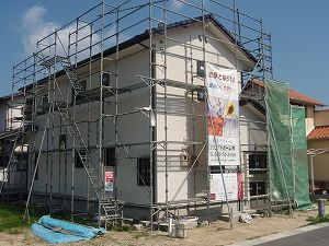 3-p1010474.jpg