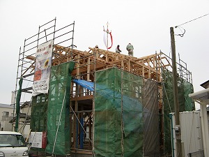 3-img_3432.jpg