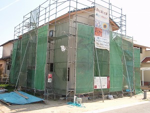 3-p1010303.jpg