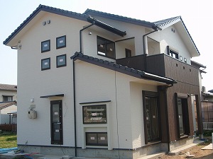 3-p1010493.jpg