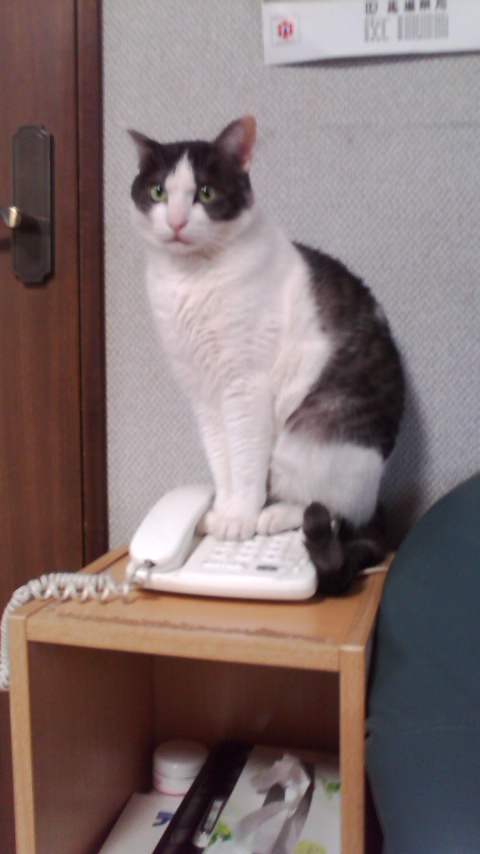 100410_083102.jpg