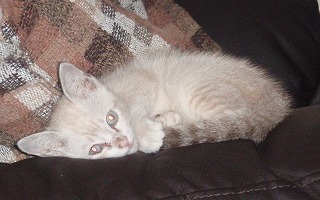 2p1010285.jpg