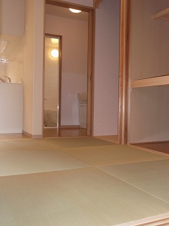 3p1010265.jpg