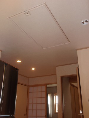 4p1010425.jpg