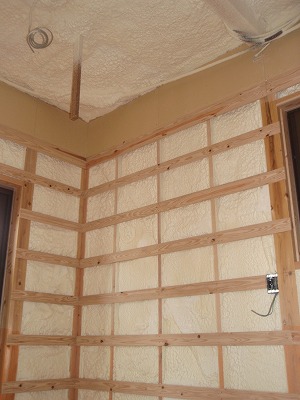 5p1010433.jpg