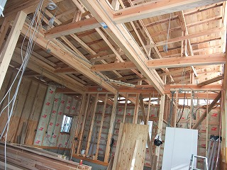 2dscf2235.jpg